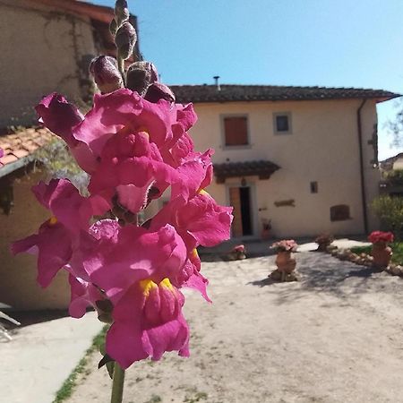 Casa Vacanze Podere Ugolini Ronta Exterior photo