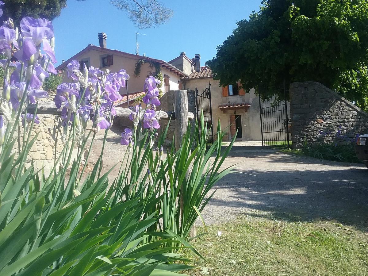 Casa Vacanze Podere Ugolini Ronta Exterior photo